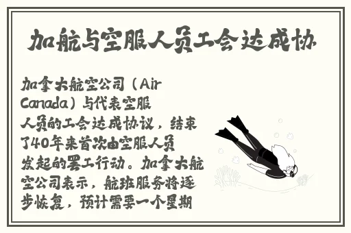 蘑菇视频**